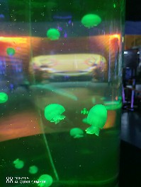 兰州