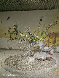 兰州