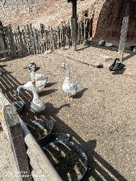 兰州