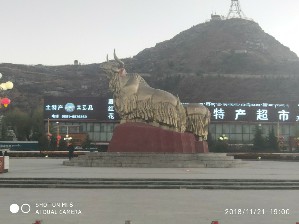 周守俭