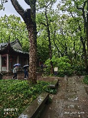 宁波