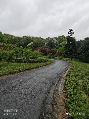宁波