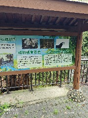 宁波