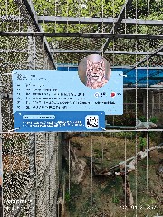 宁波
