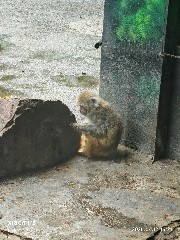 宁波