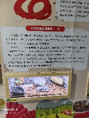宁波