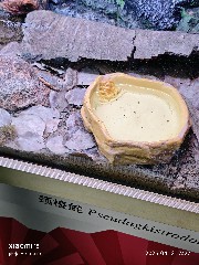 宁波