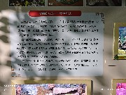 宁波