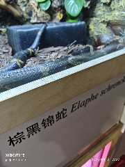 宁波