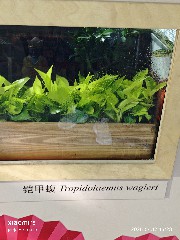 宁波
