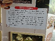 宁波