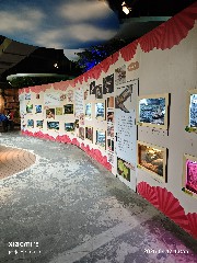 宁波