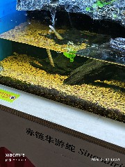 宁波