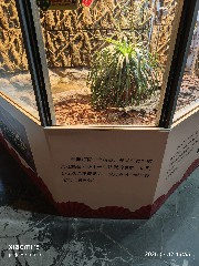 宁波
