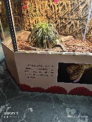 宁波