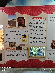 宁波