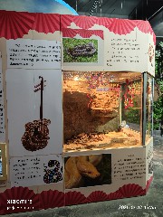 宁波