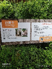 宁波