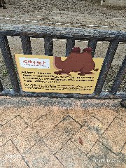宁波
