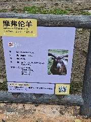 宁波