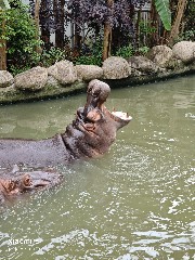 宁波