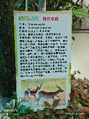 宁波
