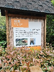 宁波