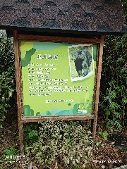 宁波