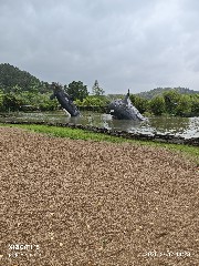 宁波