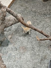 宁波