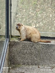 宁波