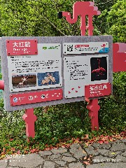 宁波
