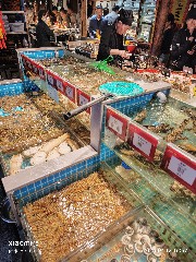 宁波