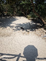 三亚