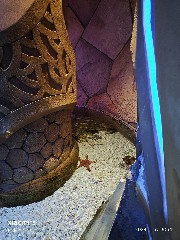 三亚