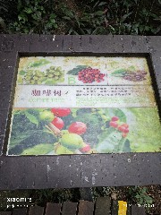 三亚