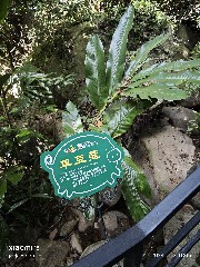 三亚