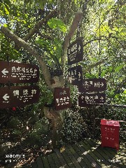 三亚
