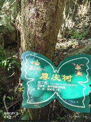 三亚