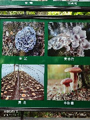 三亚