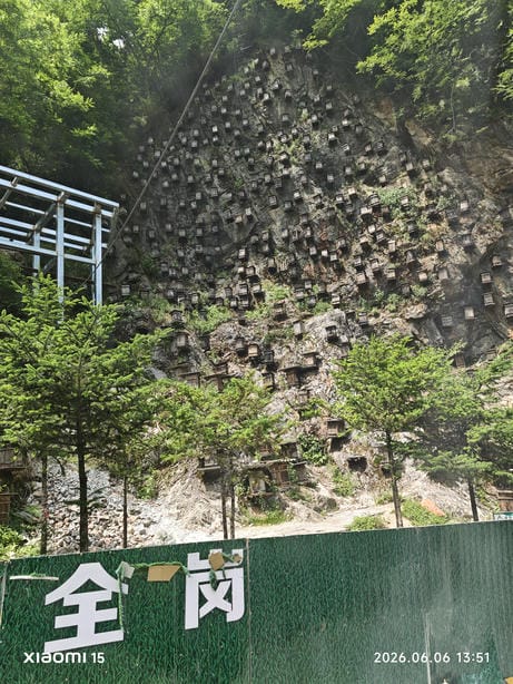 神农架