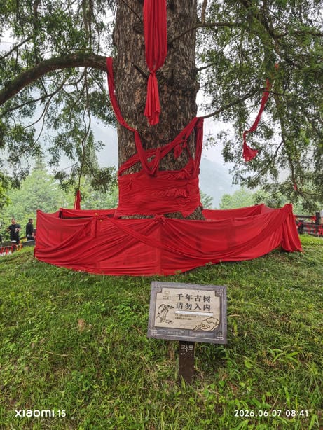 神农架