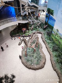 沈阳