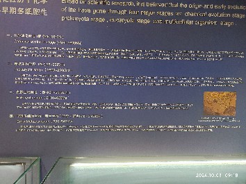 沈阳