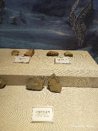 沈阳