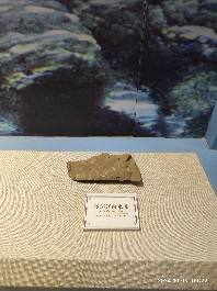沈阳