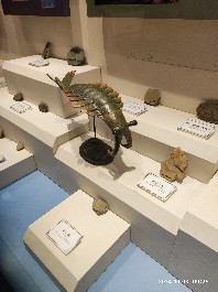沈阳