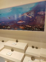 沈阳