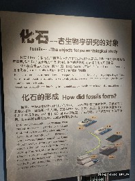 沈阳