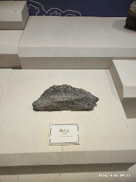 沈阳